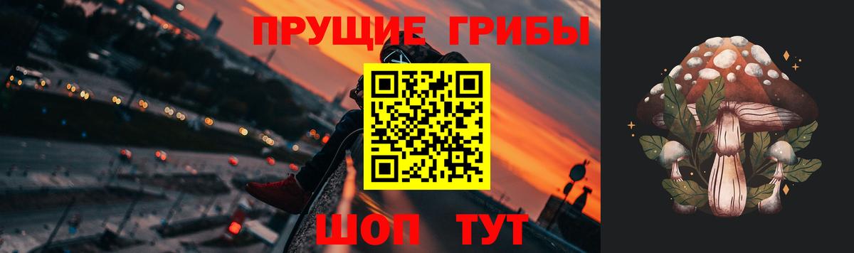 Канабис Зима