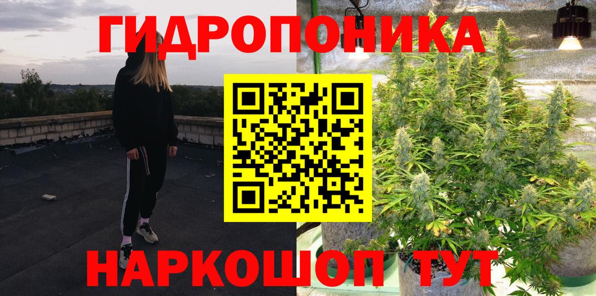 Бошки Шишки семена Зима